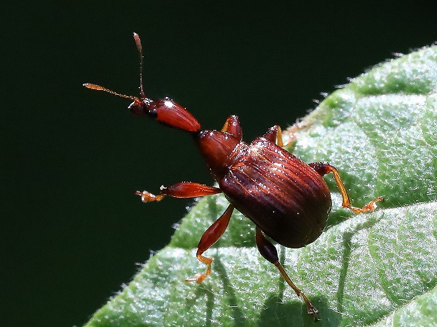 �q�Q�i�K�I�g�V�u�~��