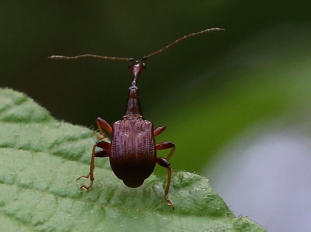 �q�Q�i�K�I�g�V�u�~��